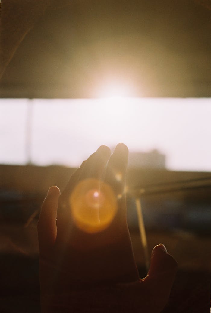 pexels photo 16398332.jpeg