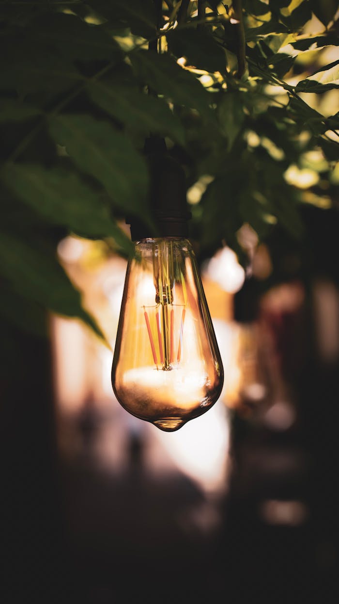 pexels photo 33552375.jpeg