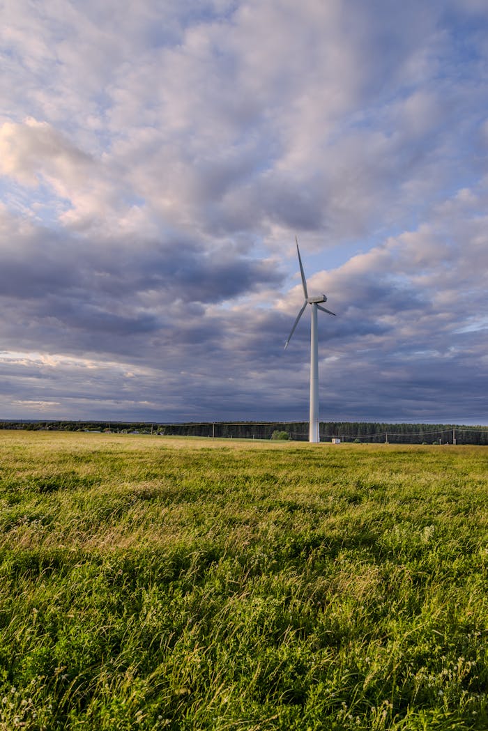 pexels photo 33597362.jpeg