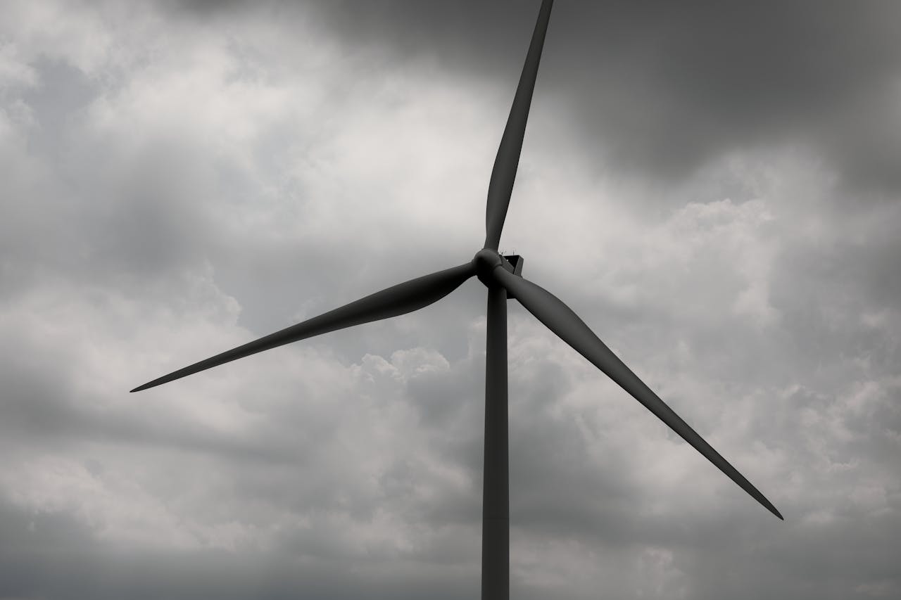 pexels photo 33604699.jpg