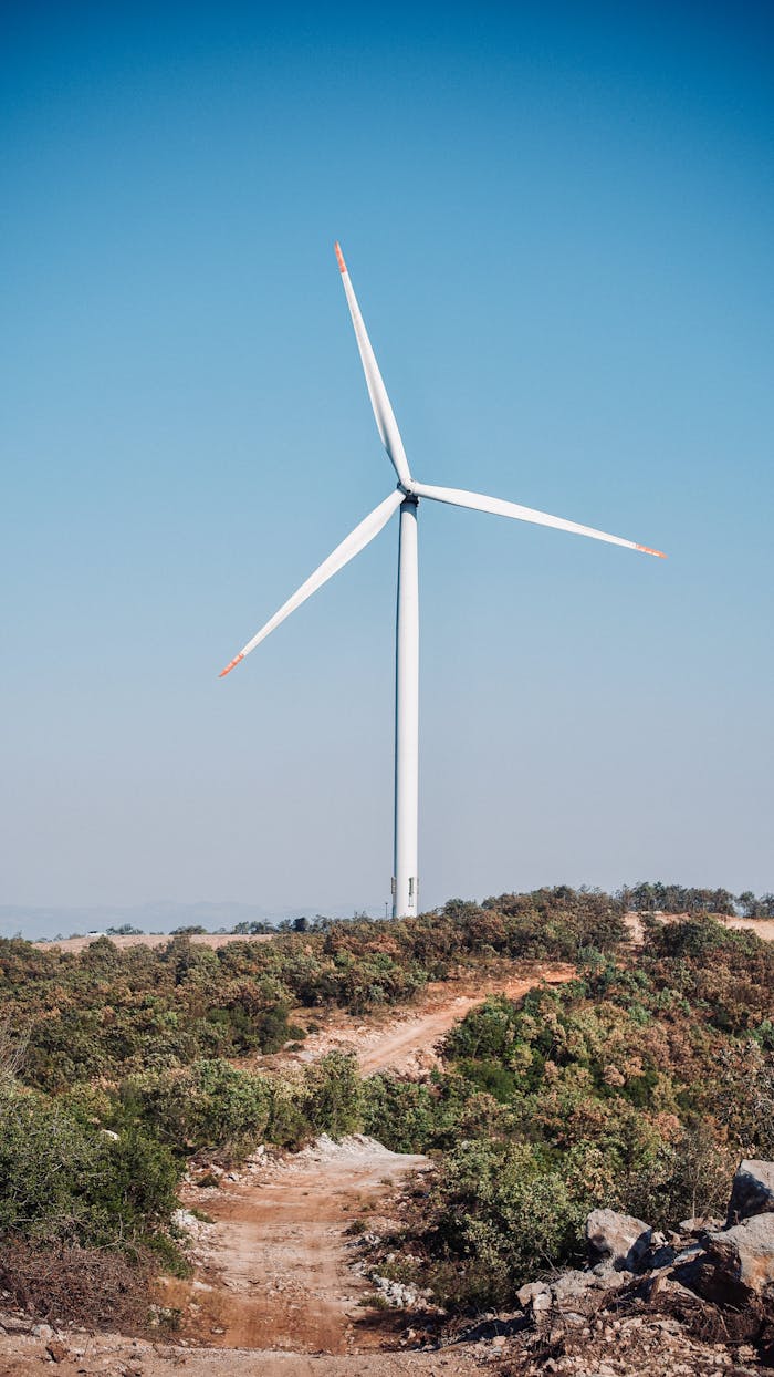 pexels photo 33624250.jpeg